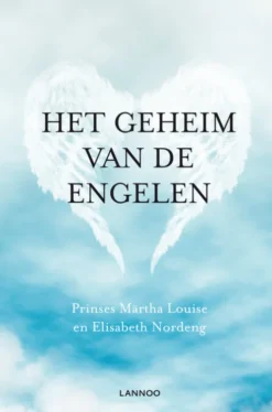 Het geheim van de engelen eBook