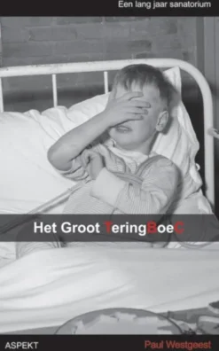 Het groot Teringboec eBook