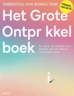 Het Grote Ontprikkelboek eBook