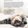 Het handboek voor een gelukkige kat eBook