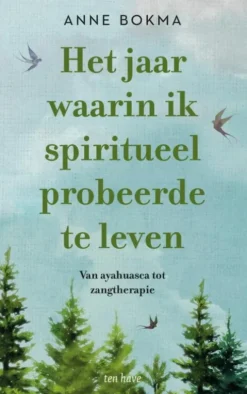 Het jaar waarin ik spiritueel probeerde te leven eBook