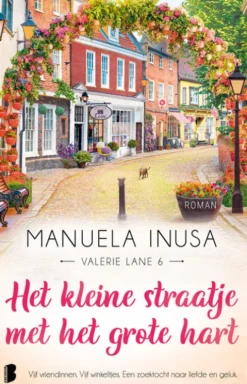 Het kleine straatje met het grote hart eBook