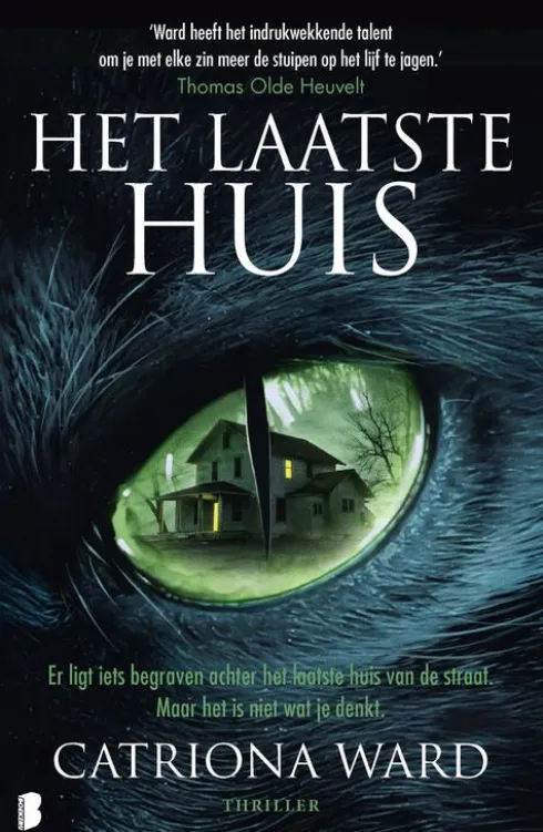 Het laatste huis eBook