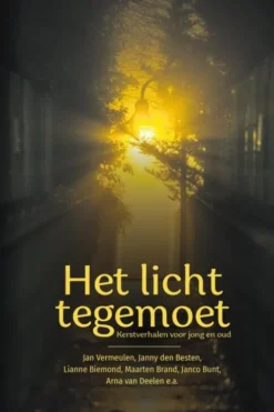 Het licht tegemoet eBook