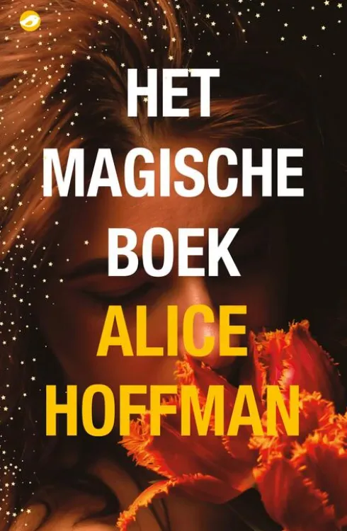 Het magische boek eBook