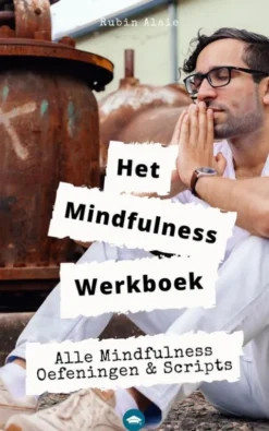 Het mindfulness werkboek eBook