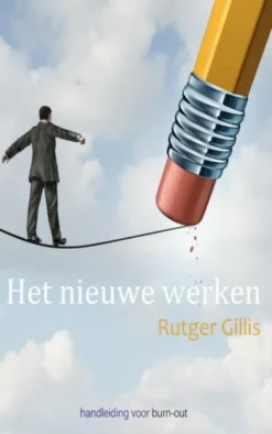 Het nieuwe werken eBook