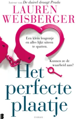 Het perfecte plaatje eBook