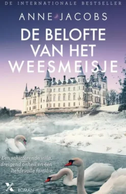 Het Weesmeisje 5 - De belofte van het weesmeisje eBook