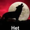Het wolvenpact eBook