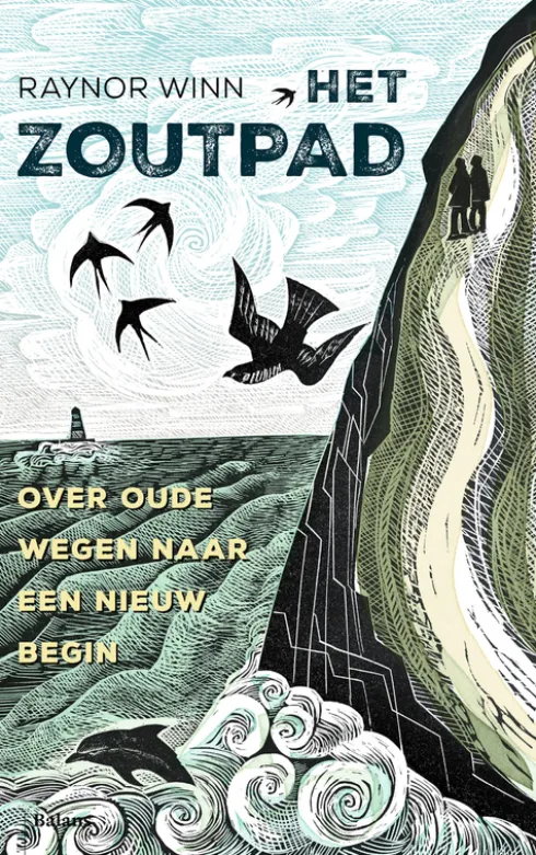 Het zoutpad eBook