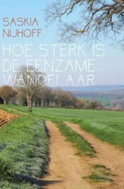Hoe sterk is de eenzame wandelaar eBook