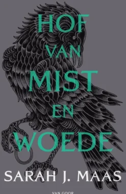 Hof van doorns en rozen 2 - Hof van mist en woede eBook