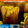 Holland, mit unseren Augen eBook