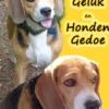 Honden Geluk en Honden Gedoe eBook