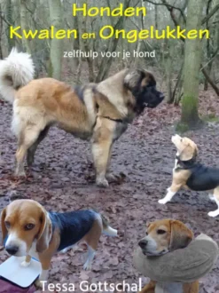 Honden kwalen en ongelukken eBook