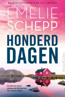 Honderd dagen eBook