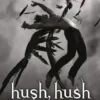 Hush, hush eBook