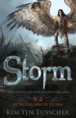 In de ziel van de storm eBook