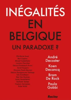 Inégalités en Belgique. Un paradoxe? eBook
