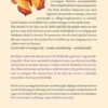 In het licht van sterven eBook