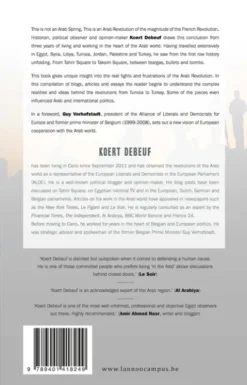 Inside the Arab Revolution eBook