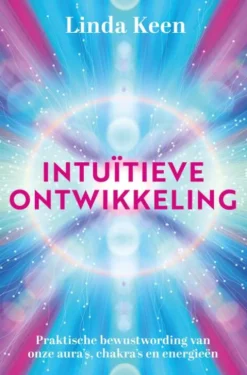 Intuïtieve ontwikkeling eBook