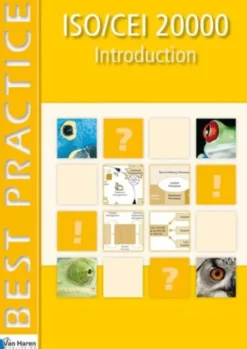 Iso/Cei 20000 eBook