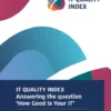 IT Quality Index eBook