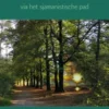 JeZelf zijn eBook