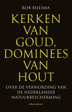 Kerken van goud, dominees van hout eBook