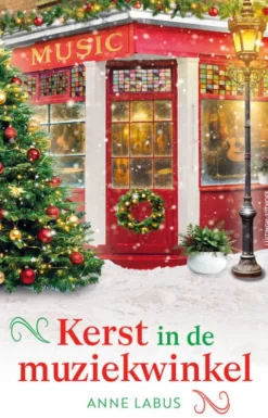 Kerst in de muziekwinkel eBook