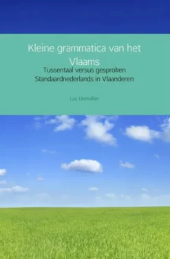 Kleine grammatica van het Vlaams eBook