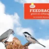 Kleintje feedback eBook