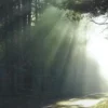 Leven in het licht eBook