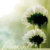 Levenskracht eBook