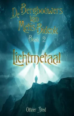 Lichtmetaal eBook