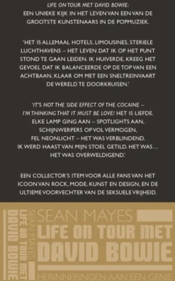 Life on tour met David Bowie eBook