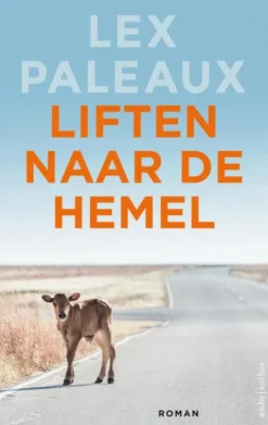 Liften naar de hemel eBook