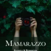 Mamarazzo eBook