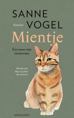Mientje eBook
