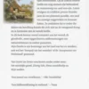 Mijn Drenthe eBook
