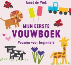 Mijn eerste vouwboek eBook
