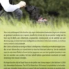 Molly & ik eBook