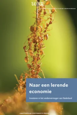 Naar een lerende economie eBook