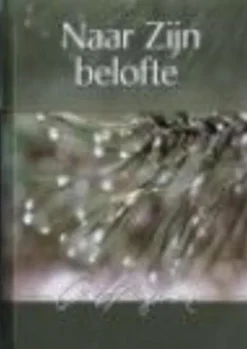 Naar zijn belofte eBook
