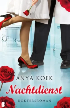 Nachtdienst eBook