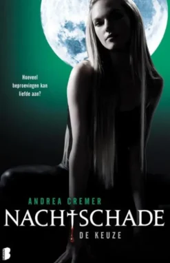 Nachtschade eBook