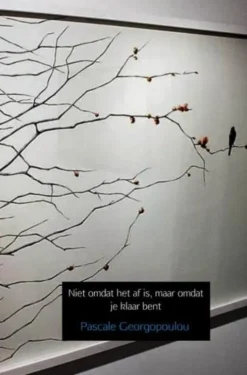 Niet omdat het af is, maar omdat je klaar bent eBook