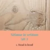 Nitimur in vetitum eBook